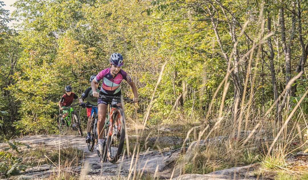 COME AND MOUNTAIN BIKE OUR WAY IN NORTH BAY