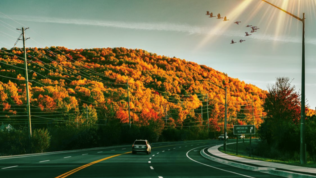 fall colours north bay