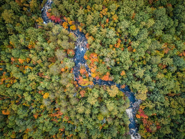 fall colours duchesnay falls northbay