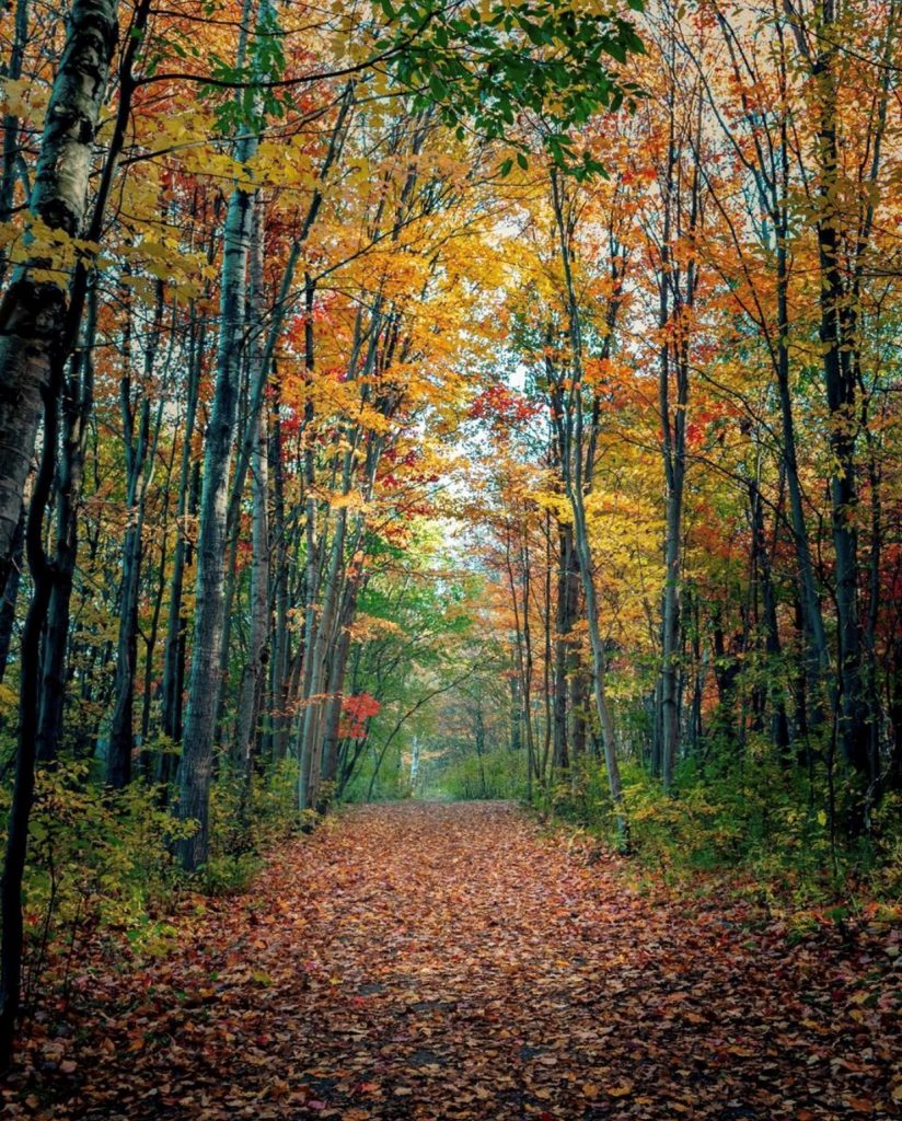 Hiking Fall NorthBay